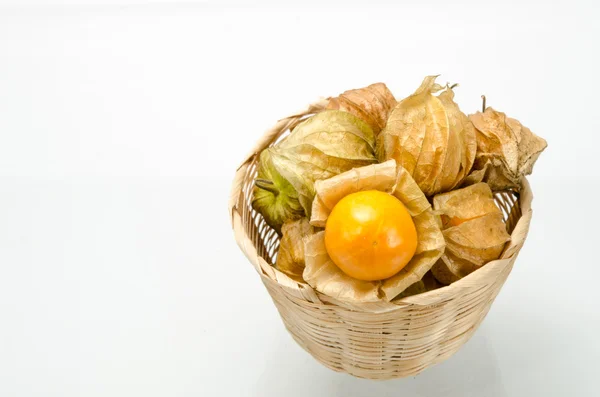 Cape gooseberry — Zdjęcie stockowe