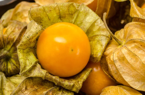 Cape gooseberry — Stock Photo, Image