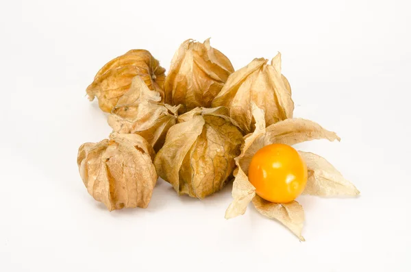 Cape gooseberry — Stock Photo, Image