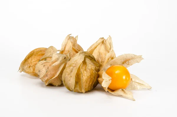 Cape gooseberry — Stock Photo, Image