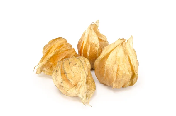 Cape gooseberry — Stock Photo, Image