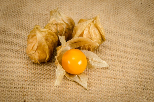 Cape gooseberry — Stock Photo, Image