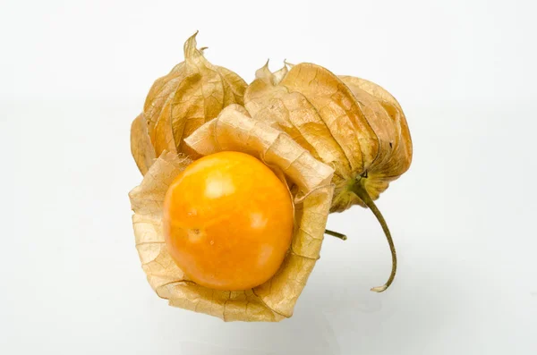 Cape gooseberry — Stock Photo, Image