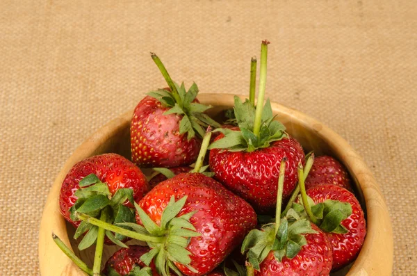 Frutilla — Foto de Stock