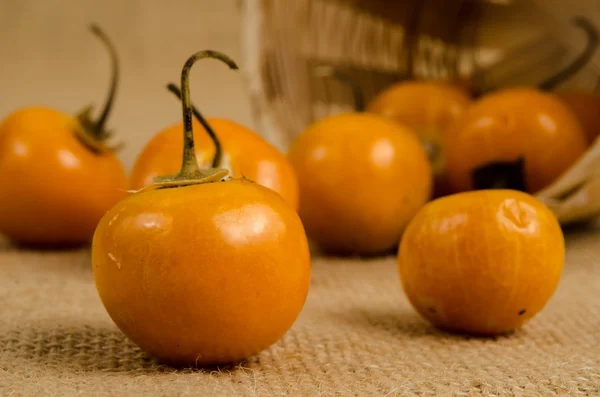 Cape gooseberry — Stock Photo, Image