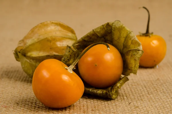 Cape gooseberry — Stock Photo, Image