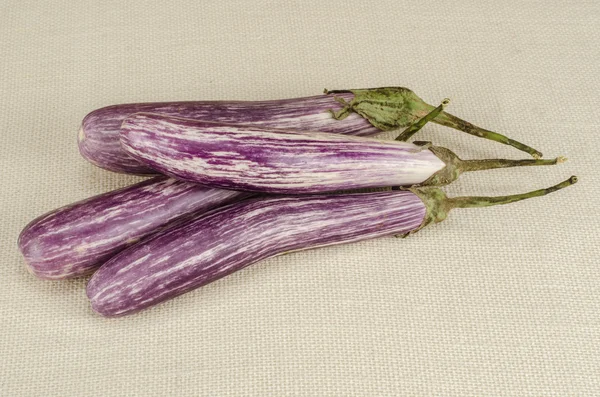 Aubergine — Stockfoto