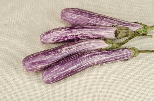 Aubergine — Stockfoto