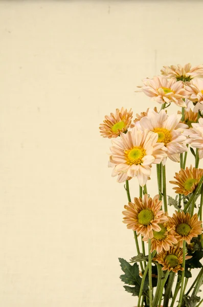 Imagem de fundo de flores — Fotografia de Stock