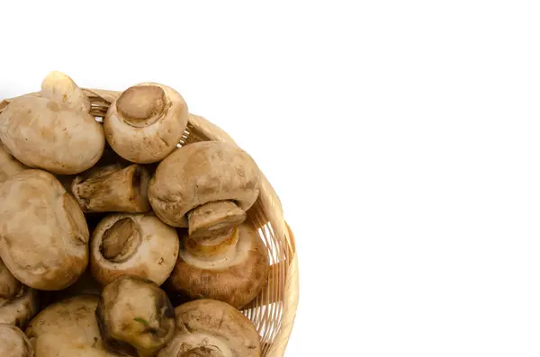 Εικόνα του μανιτάρι Champignon — Φωτογραφία Αρχείου