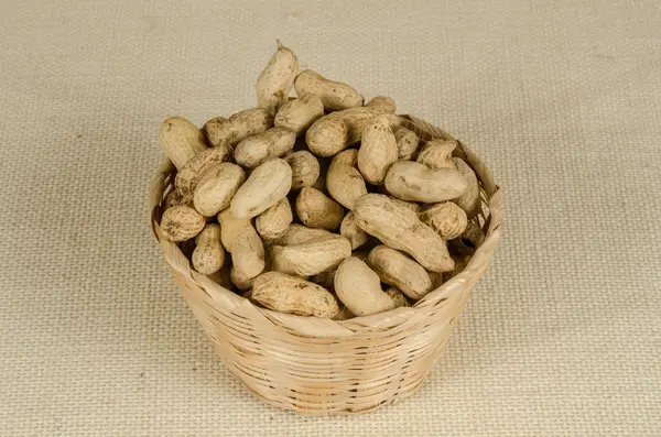 Образ арахиса — стоковое фото