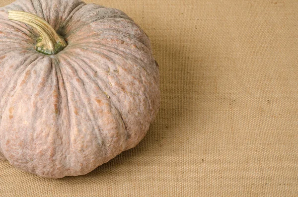 Image of Pumpkin — Stock Photo, Image