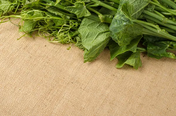 Imagem de verduras — Fotografia de Stock