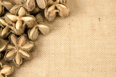 Sacha InChI görüntüsünü