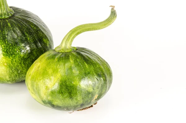 Green pompoen squash — Stockfoto