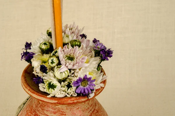 Imagem de flores — Fotografia de Stock