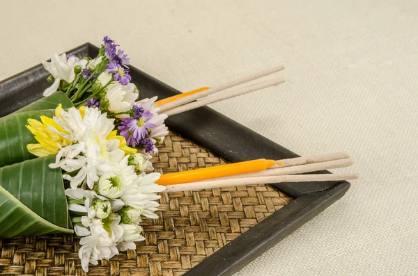 Bilden av blommor — Stockfoto