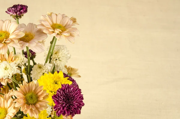 Afbeelding van bloemen achtergrond — Stockfoto