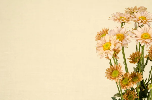 Imagem de fundo de flores — Fotografia de Stock