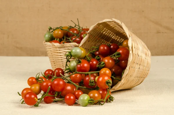 Obraz z pomidorkami — Zdjęcie stockowe