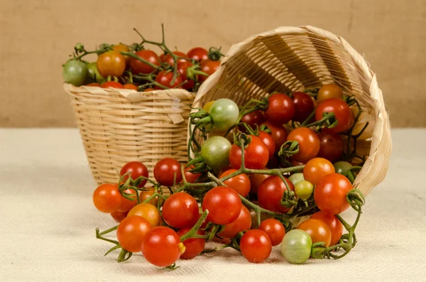 Bilden av körsbärstomater — Stockfoto