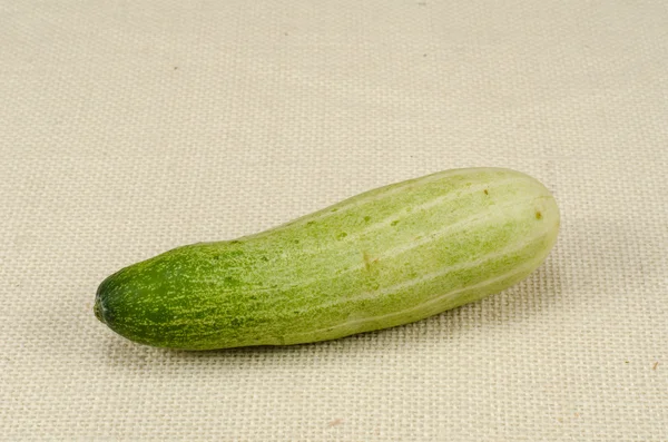 形象的新鲜黄瓜 — 图库照片