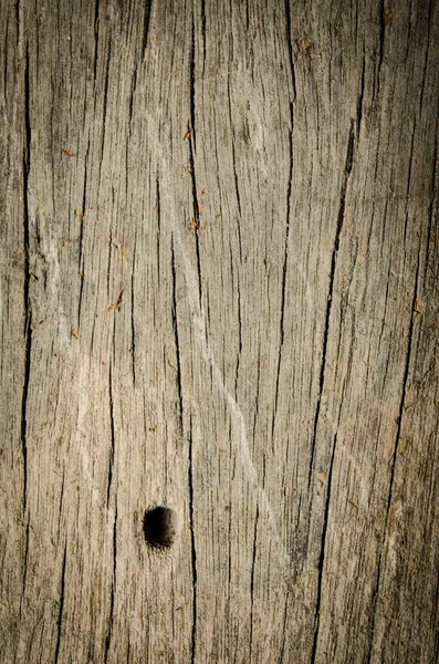 Grunge wood — Stock Photo, Image