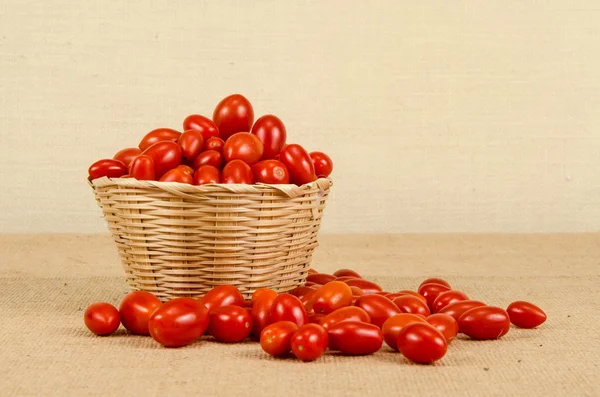 Tomates cereja — Fotografia de Stock