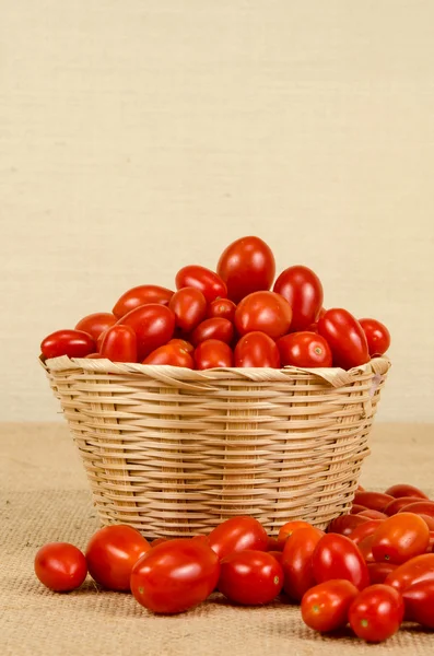 Tomates cereja — Fotografia de Stock