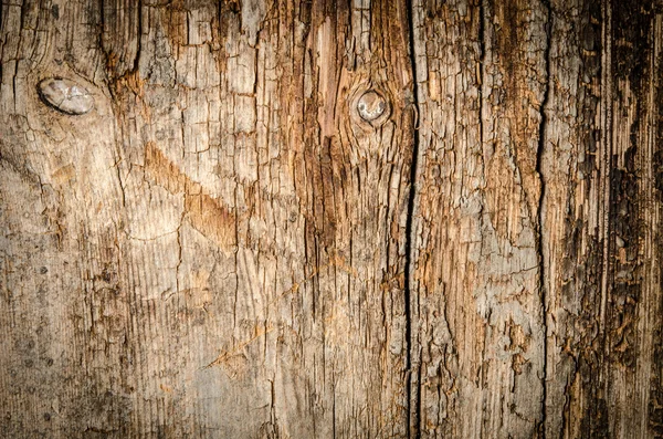 Grunge hout — Stockfoto