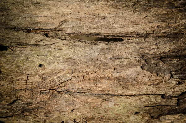 Grunge wood — Stock Photo, Image