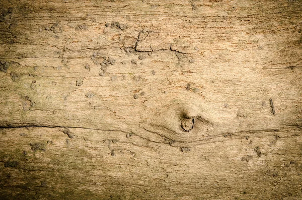 Grunge wood — Stock Photo, Image