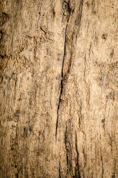 Grunge dřevo — Stock fotografie