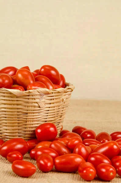 Tomates cereja — Fotografia de Stock