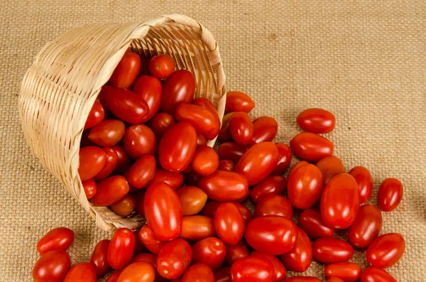 Tomates cherry — Foto de Stock