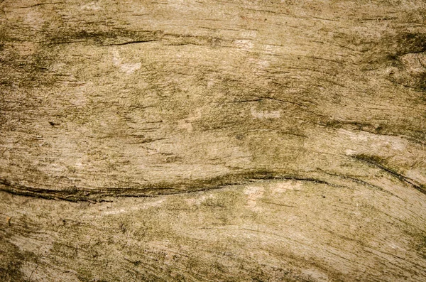 Grunge wood — Stock Photo, Image