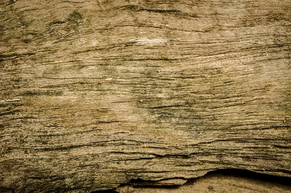 Grunge wood — Stock Photo, Image