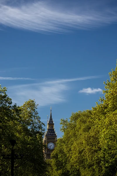 Green trees and Big Ben — Stock Photo, Image