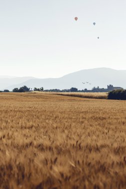 Agricultural landscape in Provence, France clipart