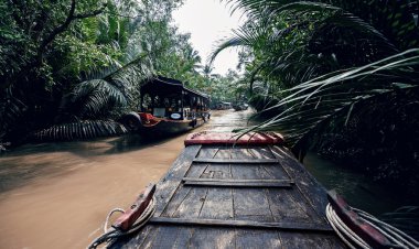Vietnam'da bir tekne kürek