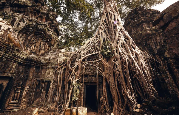 Tempel von Angkor Wat — Stockfoto