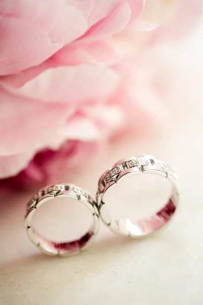 Roses and rings — Stock Photo, Image