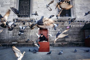Kulübedeki eski fotoğrafçı
