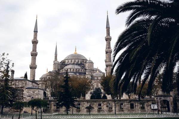 Mosquée bleue célèbre à Istanbul — Photo