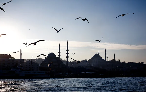 Місто Стамбула з політ чайки — стокове фото