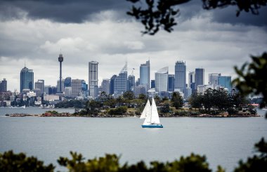 Sydney harbor, Merkez bina
