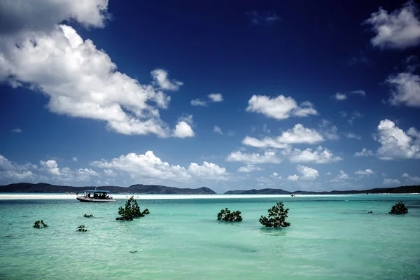 Whitehaven pláže v Austrálii — Stock fotografie