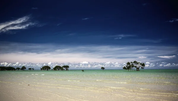 Playa whitehaven en Australia —  Fotos de Stock