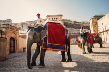 Filler Amer Fort yakınındaki erkekler