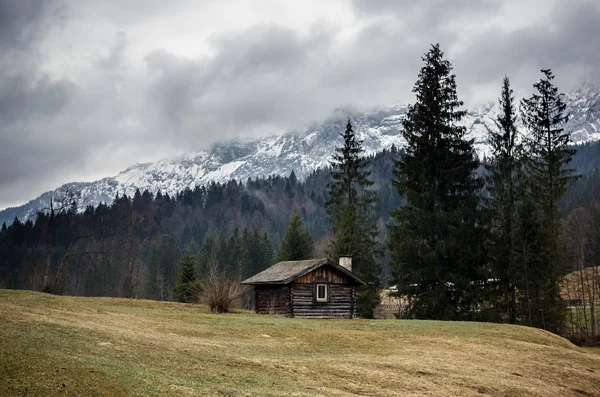 Bayerska Alperna under mulen dag — Stockfoto